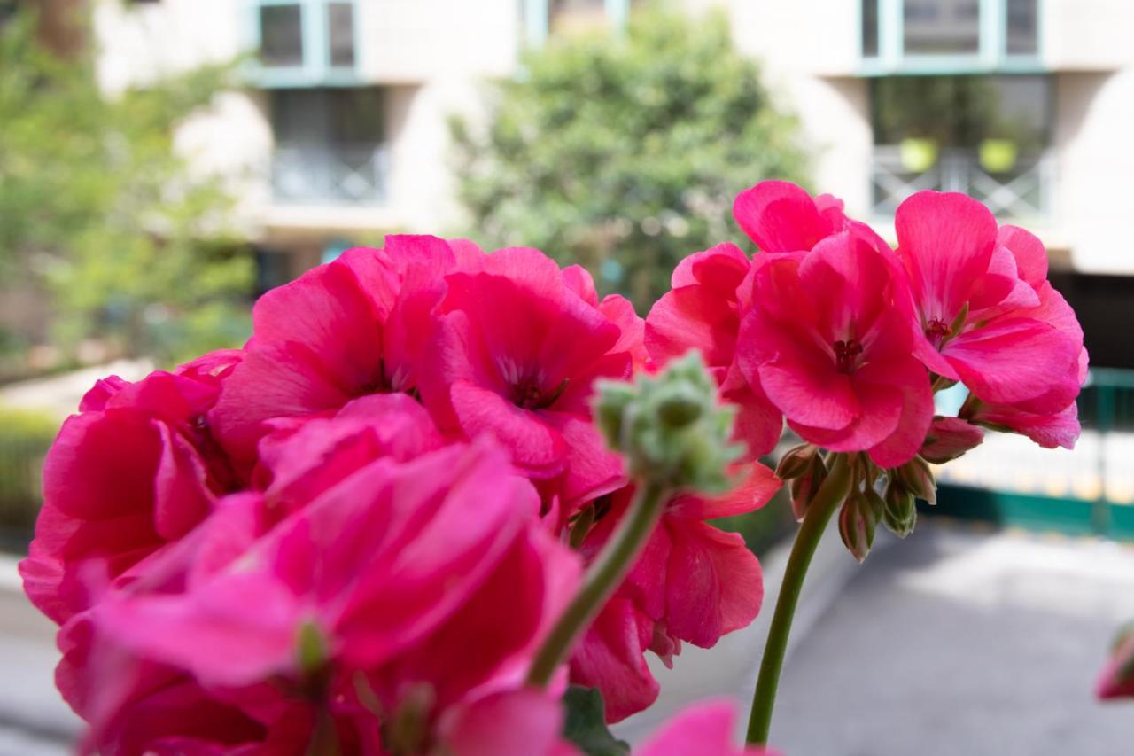Boutique Apartment La Lavande Free Parking 10 Min Walk Nice Buitenkant foto